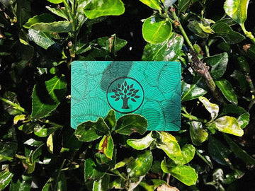 Green Orange Digital Business Card